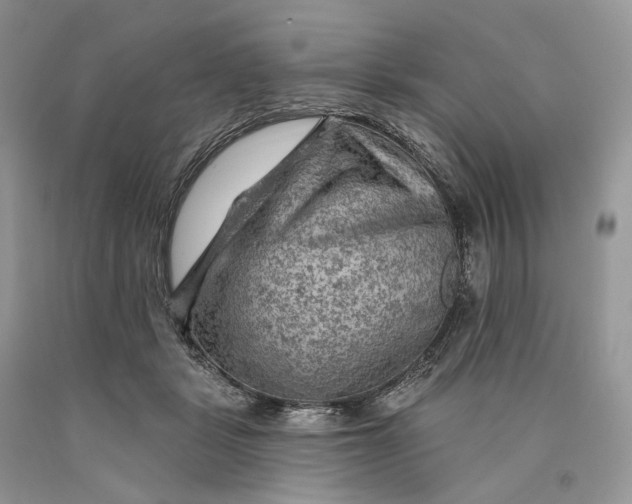 X0000089910461200707201800