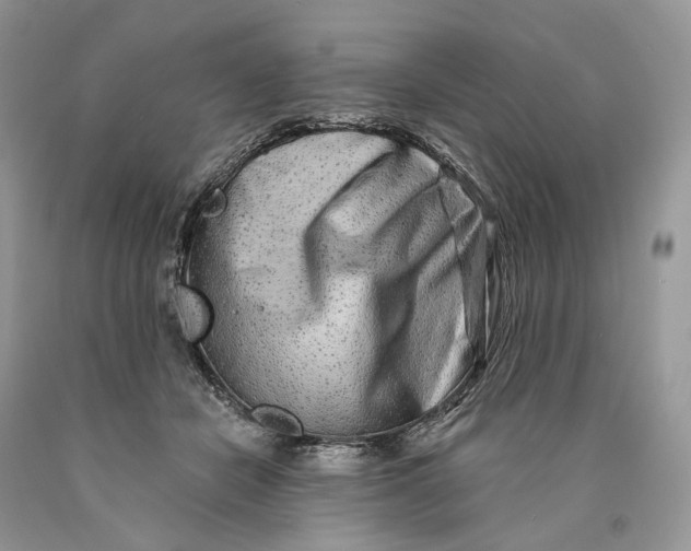 X0000089910462200707201800