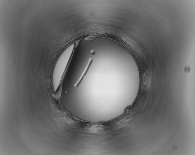 X0000089910463200707201800