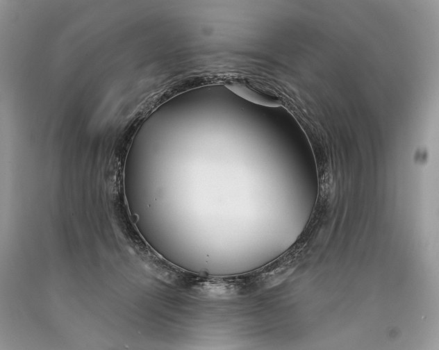 X0000089910464200707201800