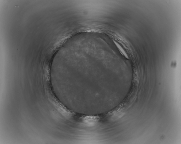 X0000089910465200707201800