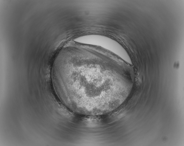 X0000089910466200707201800