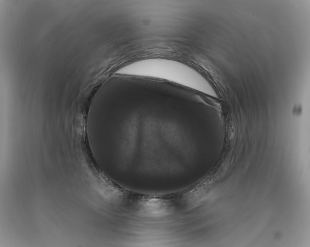 X0000089910467200707201800