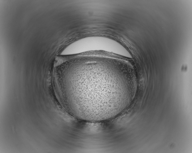 X0000089910469200707201800