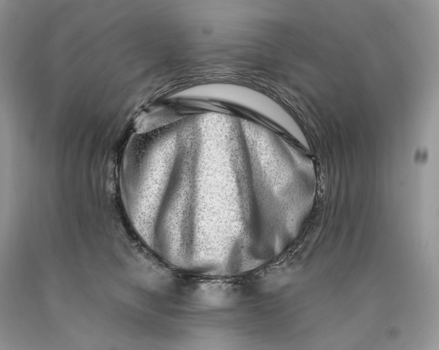 X0000089910470200707201800