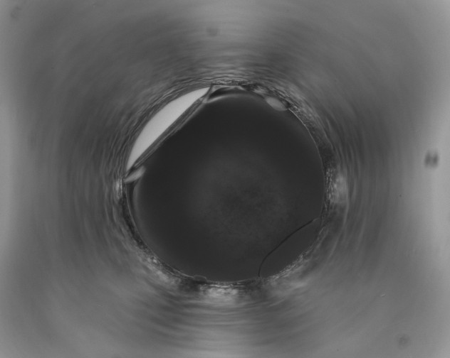 X0000089910471200707201800