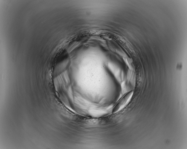 X0000089910473200707201800