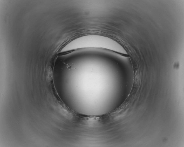 X0000089910474200707201800