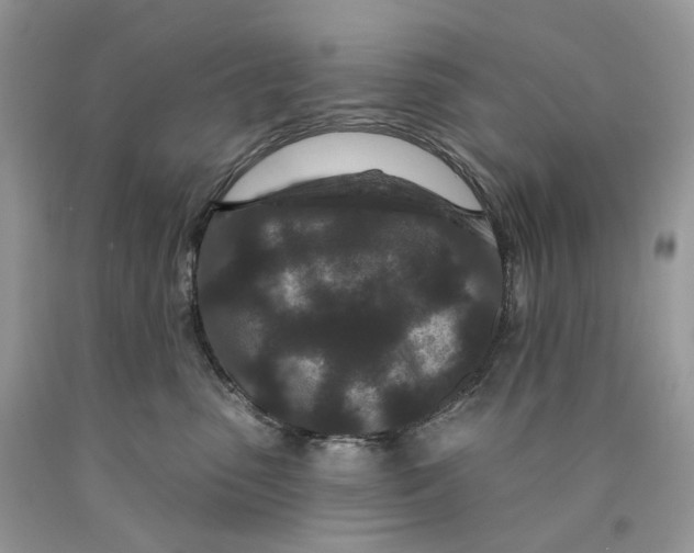 X0000089910475200707201800