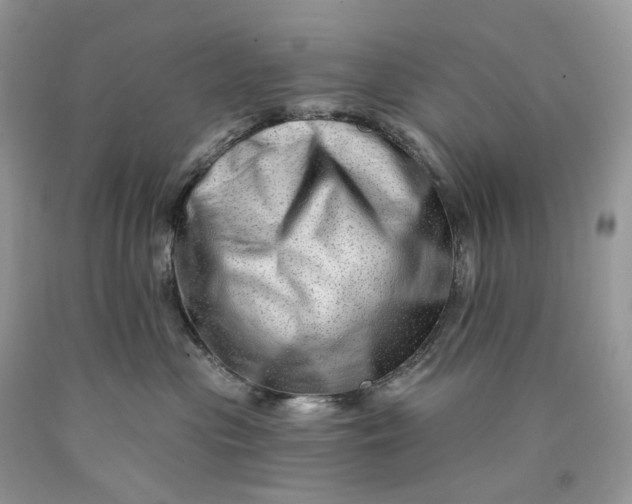 X0000089910477200707201800