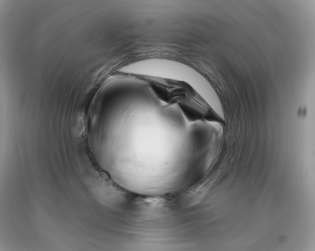 X0000089910478200707201800