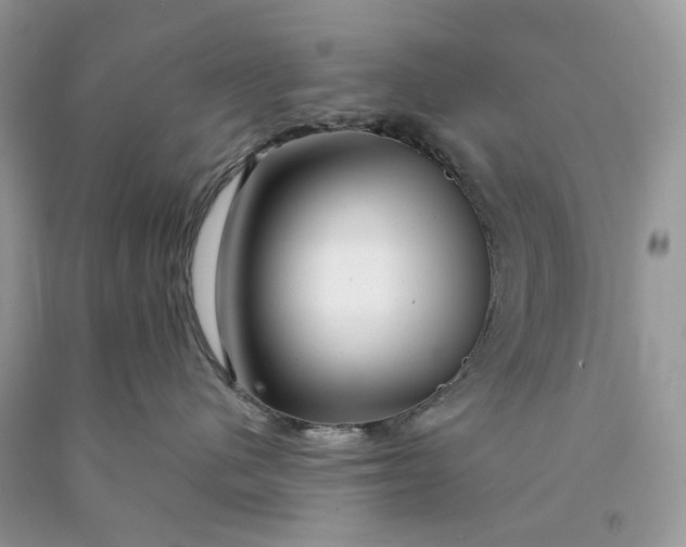 X0000089910480200707201800