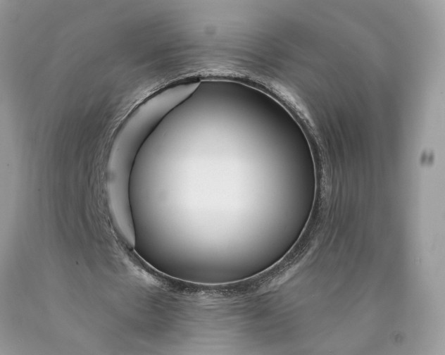 X0000089910481200707201759