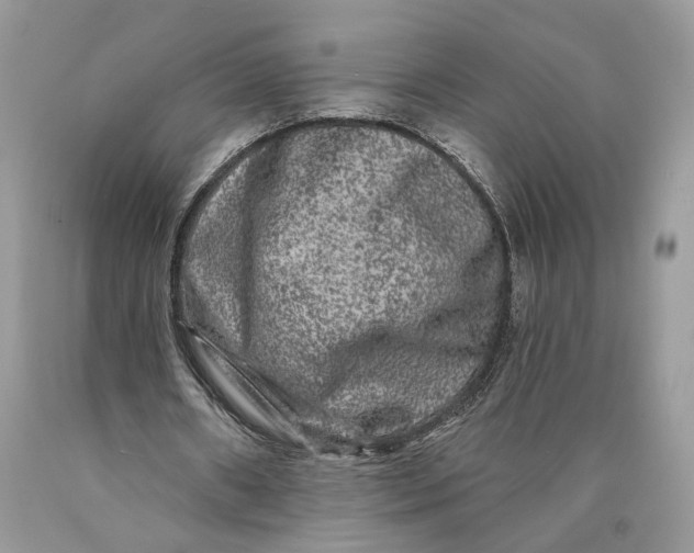 X0000089910482200707201759