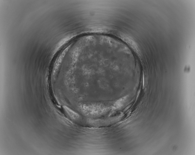 X0000089910483200707201759