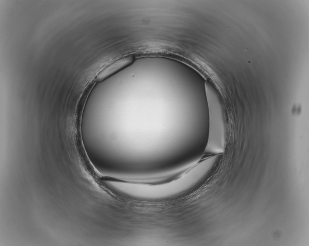 X0000089910485200707201759