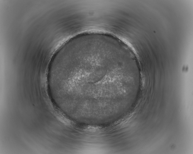 X0000089910487200707201759