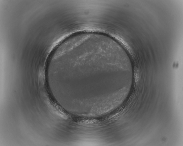 X0000089910488200707201759