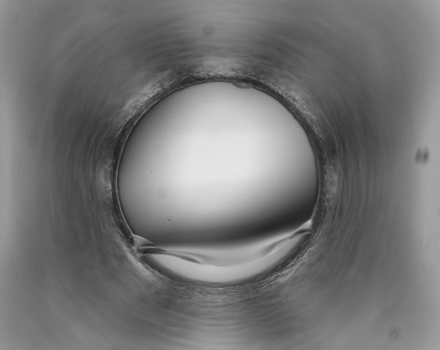 X0000089910489200707201759