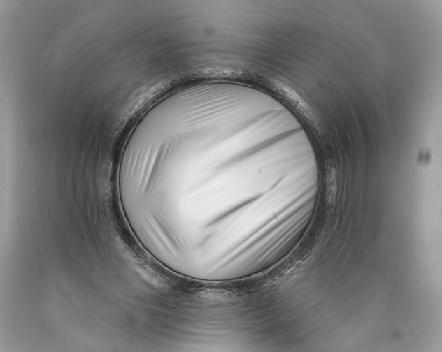 X0000089910490200707201759