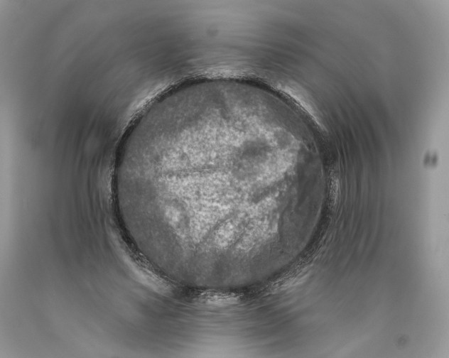 X0000089910491200707201759