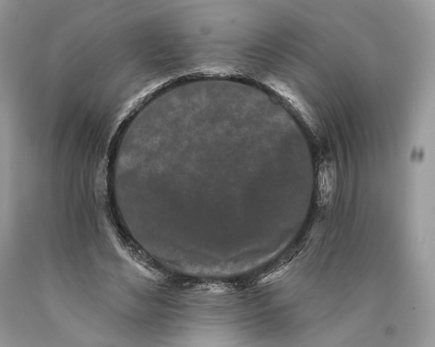 X0000089910492200707201759