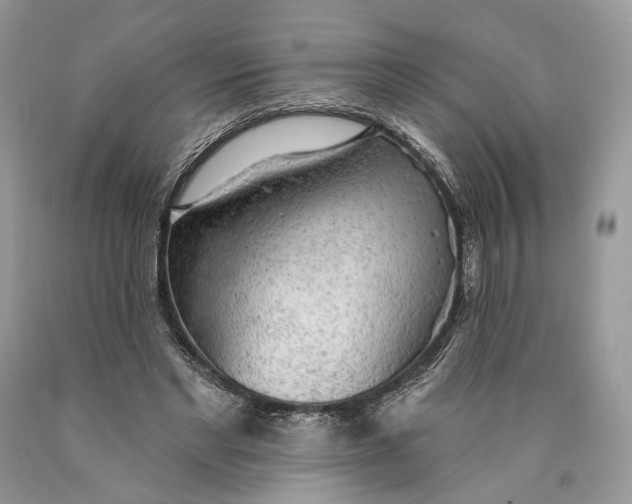 X0000089910493200707201759