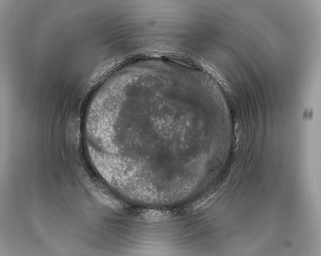 X0000089910494200707201759