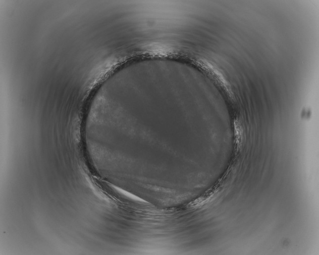 X0000089910496200707201759