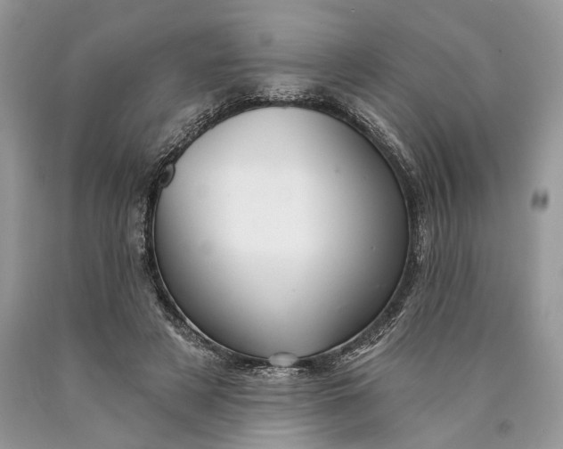 X0000089910497200707201759