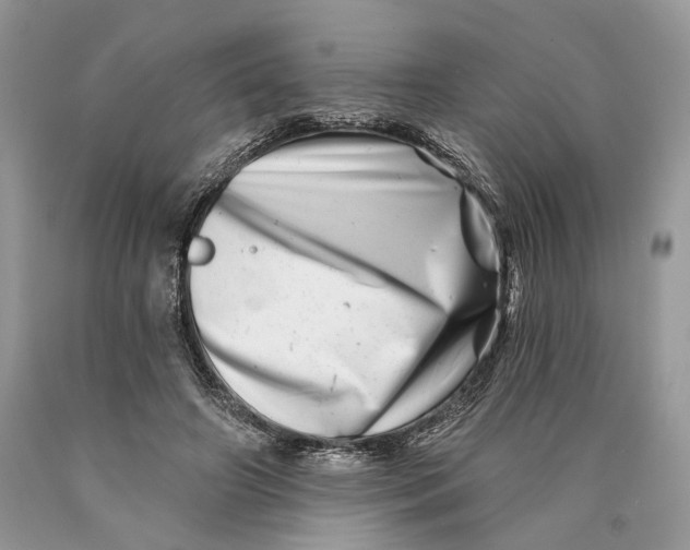 X0000089910498200707201759