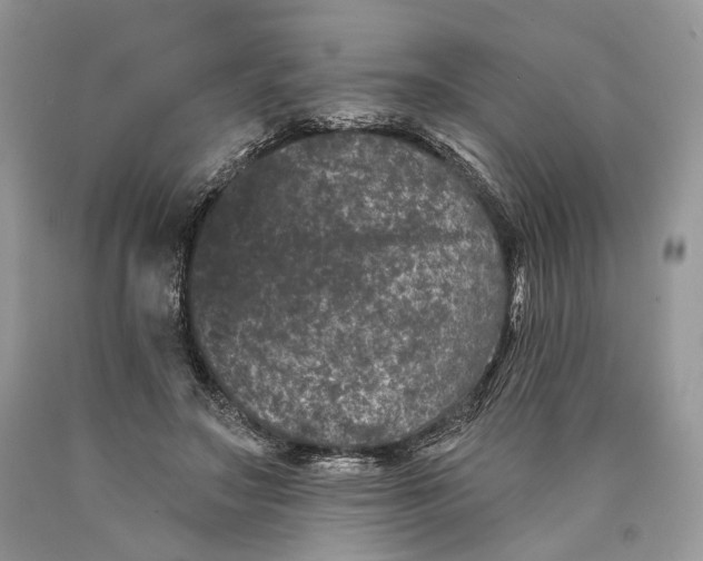 X0000089910499200707201759