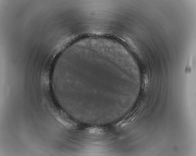 X0000089910500200707201759