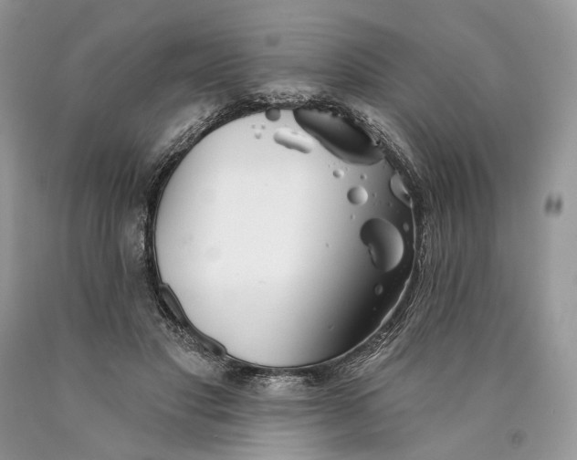 X0000089910501200707201759