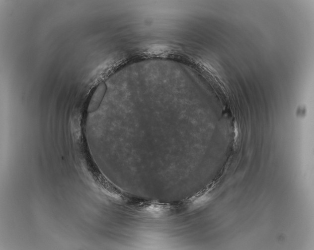 X0000089910504200707201759