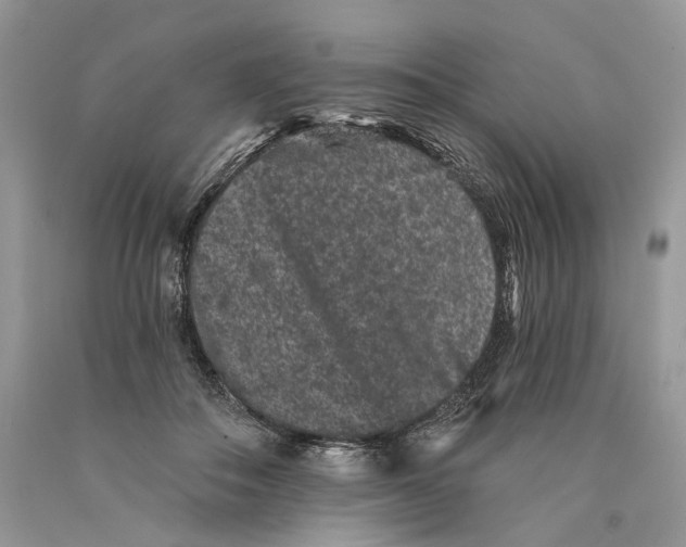 X0000089910506200707201759