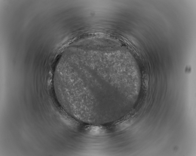 X0000089910507200707201759