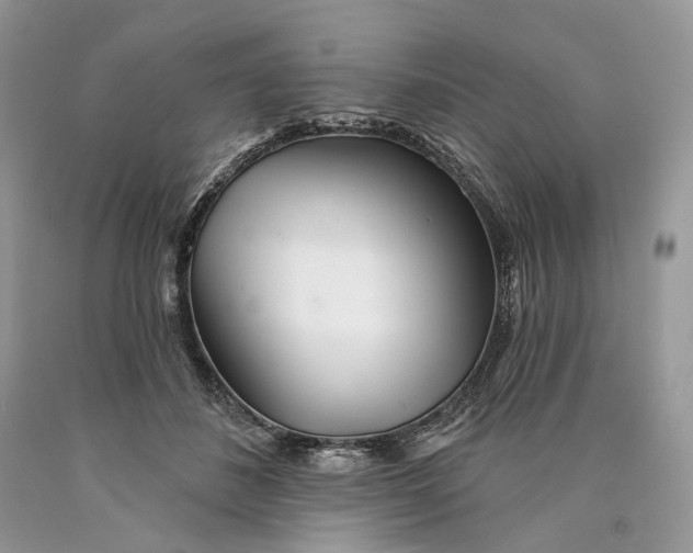 X0000089910508200707201759