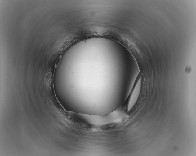 X0000089910509200707201759