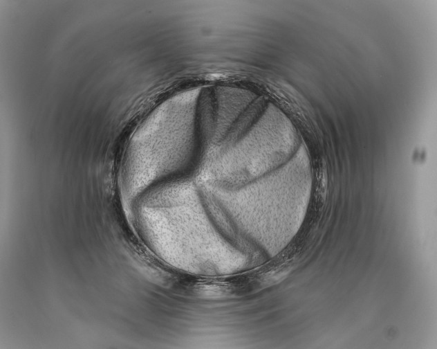 X0000089910510200707201759