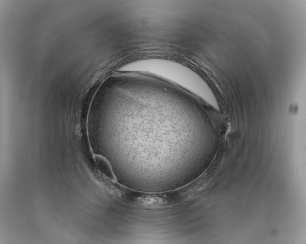 X0000089910512200707201759