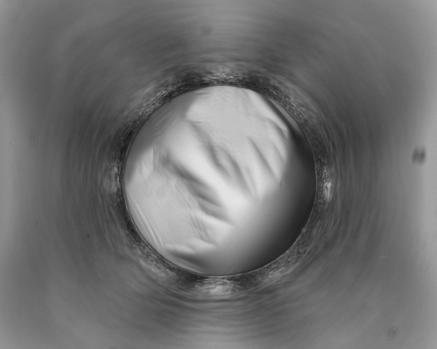 X0000089910514200707201759