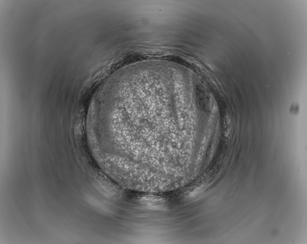 X0000089910515200707201759