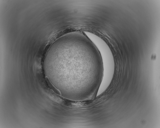 X0000089910516200707201759