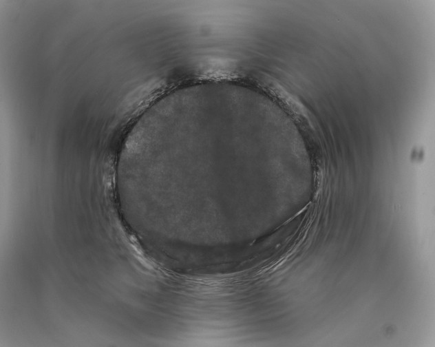 X0000089910517200707201759