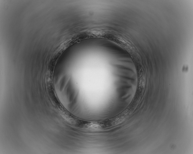 X0000089910518200707201759