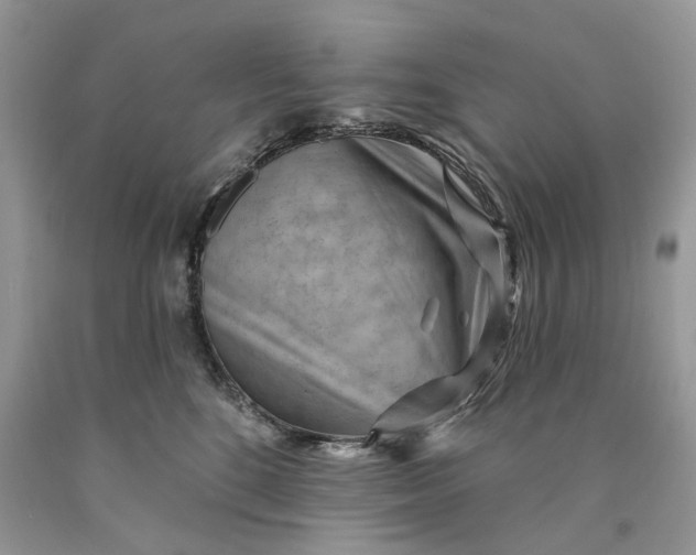 X0000089910520200707201759