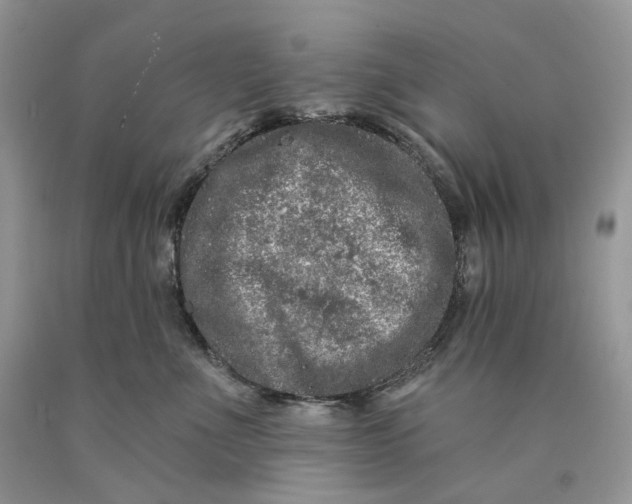 X0000089910523200707201759