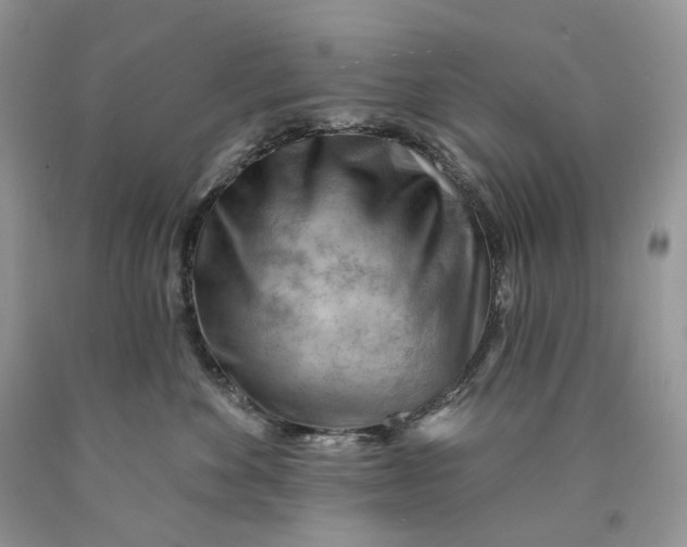 X0000089910524200707201759