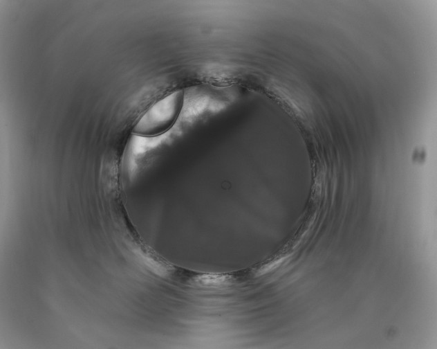 X0000089910526200707201759